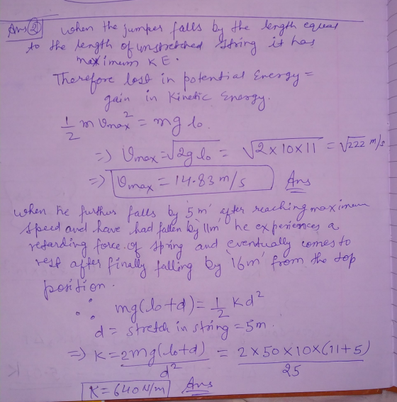 An when the jumper falls by the length equal to the length of unstretched Ghring it has maximum KE. Therefore lost in potenti