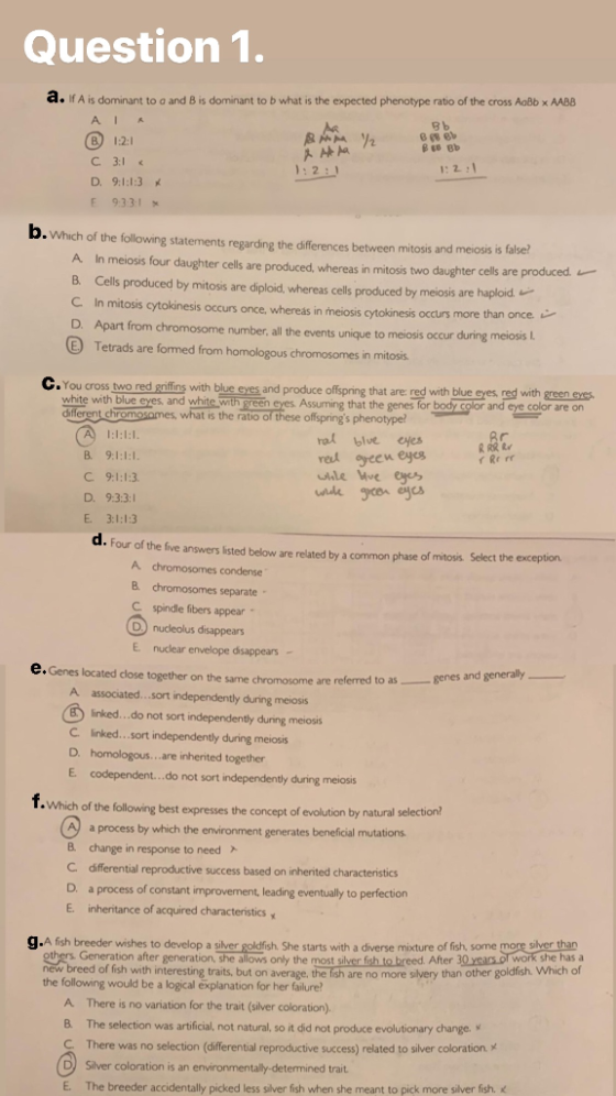 Question 1. M2 a. If A is dominant to a and B is dominant to b what is the expected phenotype ratio of the cross Aobb x MBB А