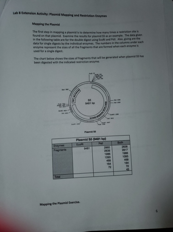 Lab 8 Extension Activity: Plasmid Mapping and Restriction Enzymes Mapping the Plasmid The first step in mapping a plasmid is