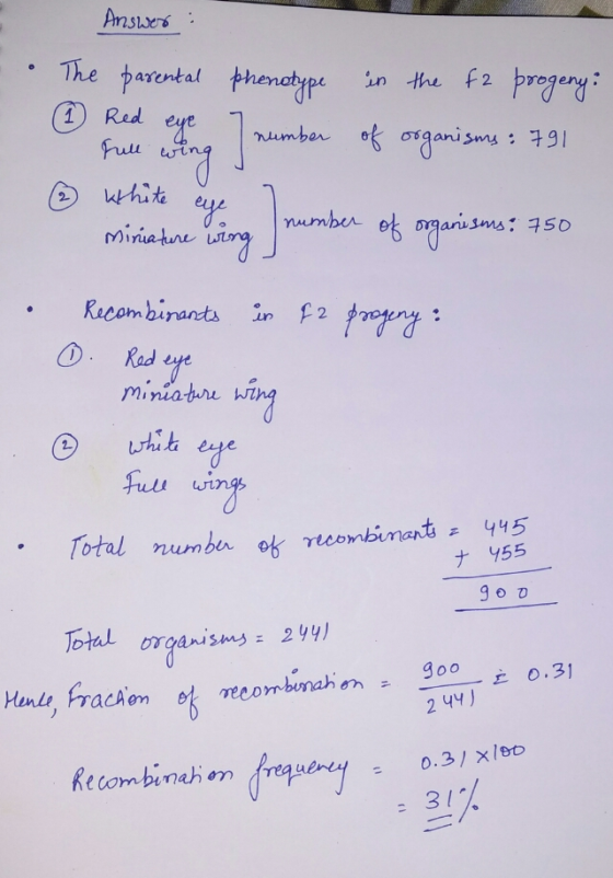 Answer: The parental phenotype » Red eye I number Full wing ② White eye Inne in the fa progeny: of organisms : 791 numb minia