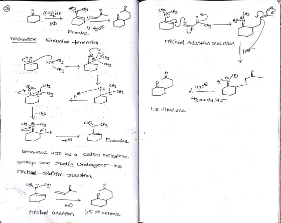 in CHAN CH NSCHE He Day _ #00 at Enomine Mechanism Enamine formation Michael Additim sreaction Cie HNCH3 CHS ott CH OH 1 RECH