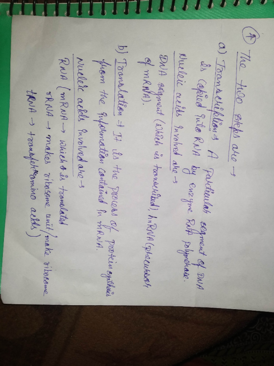 The two slepes are a) Transcription A pakiticulat segment of DNA es copied into RNA by enzyme RNA polymerase. Nucleic cecids