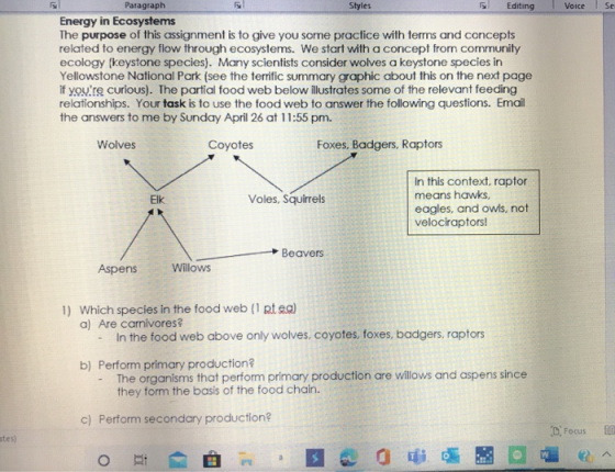 Voice Se Paragraph Styles 5 Editing Energy in Ecosystems The purpose of this assignment is to give you some practice with ter