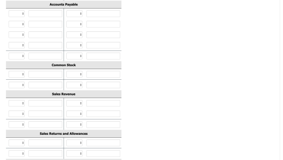 Accounts Payable Common Stock Sales Revenue Sales Returns and Allowances
