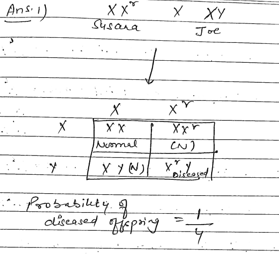 Ans: 1) XX X Susana XY Joe X X x XX Ncomal Xor CN) X Y N ribos ... Probability of diseased offspring feping = 1 /