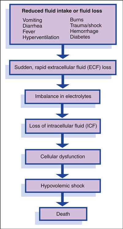 Reduced fluid intake or fluid loss Vomiting Burns Diarrhea Trauma/shock Fever Hemorrhage Hyperventilation Diabetes Sudden, ra