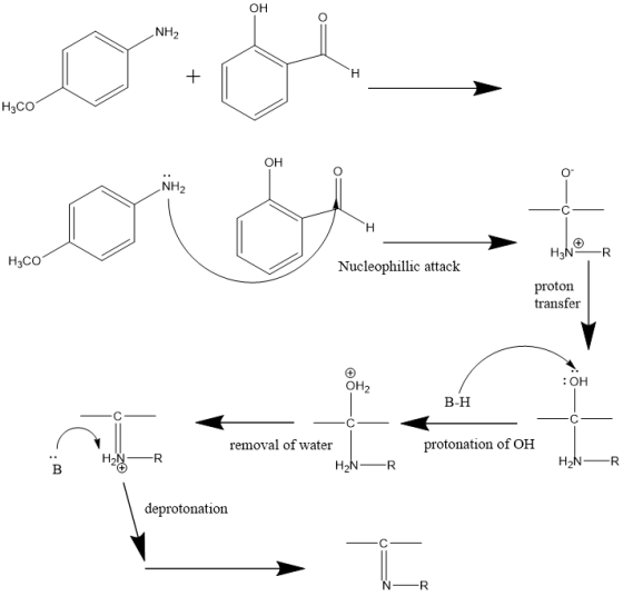 NH2 H3CO OH H2 - - H - H3NR | H3C0 Nucleophillic attack proton transfer OH2 B-H اغ C ۔ protonation of OH removal of water H2N