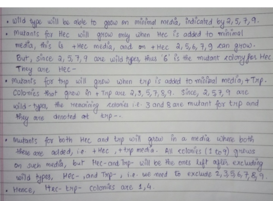 • wild type will be able to grow on minimal media, indicated by 2, 5, 7,9. mutants for Hec will grow only when Hec is added t
