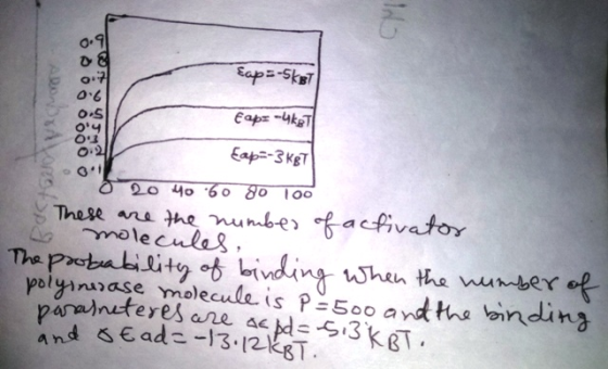 CM Eaps-5257 UN 301 Exp: -4KBT Cap=-3KBT 20 40 60 80 100 These are the number of activator o molecules, The probability of bi