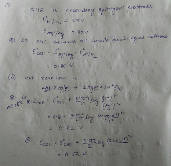 6econdan O9N tyan electrade SHE AD.O - 0.80 v cathodle S0 SAE lbehaves as amode and EeellE -3 O.80 V yeaeticw is cell 2 A+29)