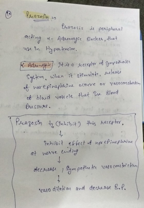of. blusd veXcle that Bind inhibit effect nge ePinephsine at neve ending