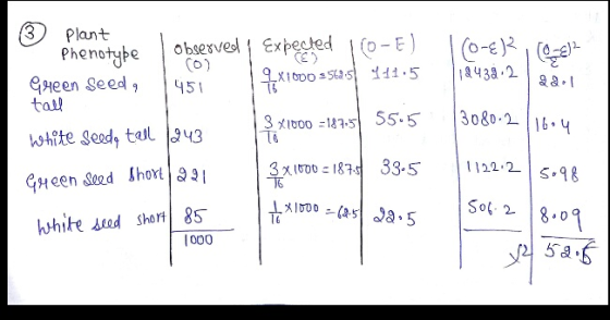 CO @ plant Phenotype Observed | Expected 10-E) Green Seed, 451 19X1000 =5425 111.5 tall 3 x1000 =187.5 55.5 white seed, tell