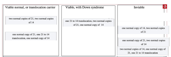 Viable normal, or translocation carrier Viable, with Down syndrome Inviable two normal copies of 21, two normal copies of 14