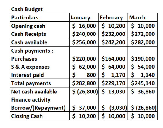 January $ 16,000 $ 240,000 $ 250,000 February March $ 10,200 $ 10,000 $232,000 $272,000 $242,200 $282,000 Cash Budget Particu