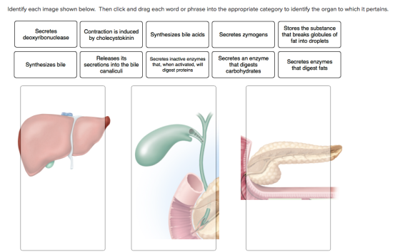 26. Identify each image shown below. Th