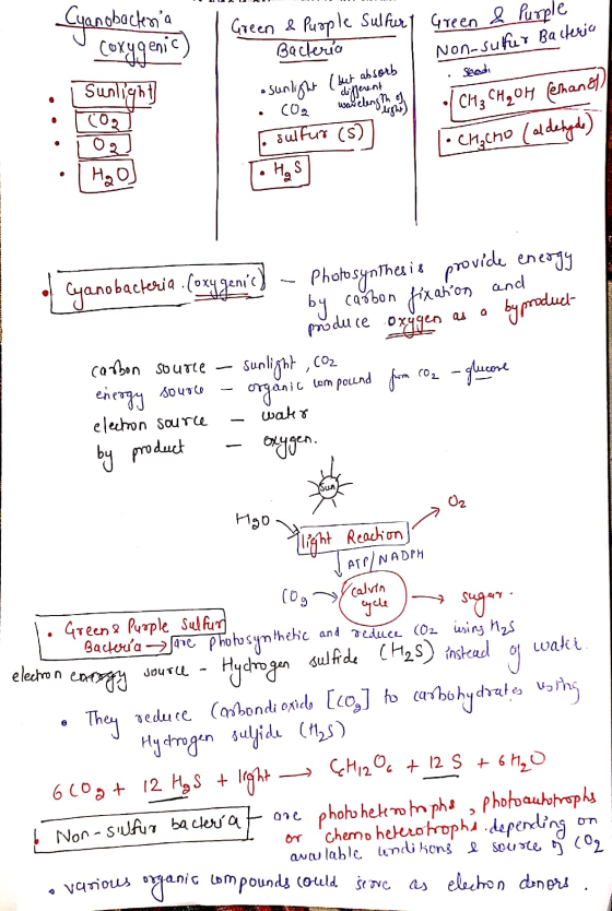 anobacteria Green Green & Purple & Purple Sulfurt Bacteria Non-sulfur Bacteria U coxygenic) i Sunlight Sead but absorb osunli