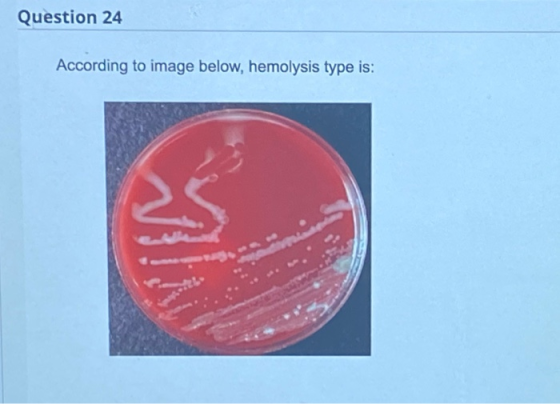 Question 24 According to image below, hemolysis type is: