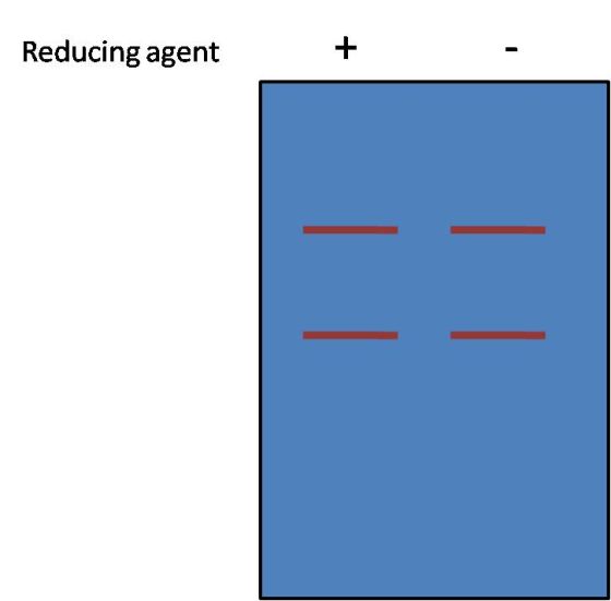 Reducing agent
