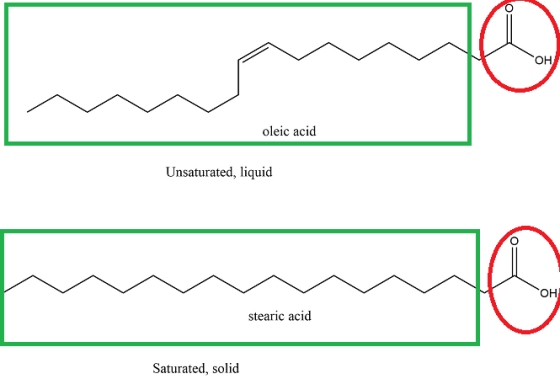 OH oleic acid Unsaturated, liquid stearic acid Saturated, solid