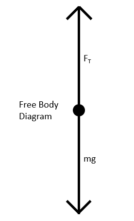 Free Body Diagram mg