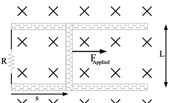 X X X X X X X X x Х x Х F. Applied L R WW x x Х Х Х S