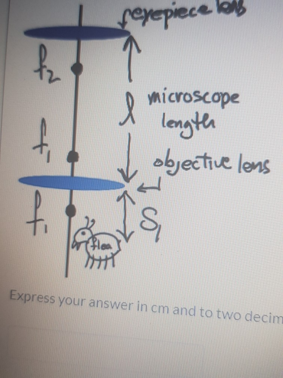 feyepiece lens at l microscope length objective lens fo co Express your answer in cm and to two decim