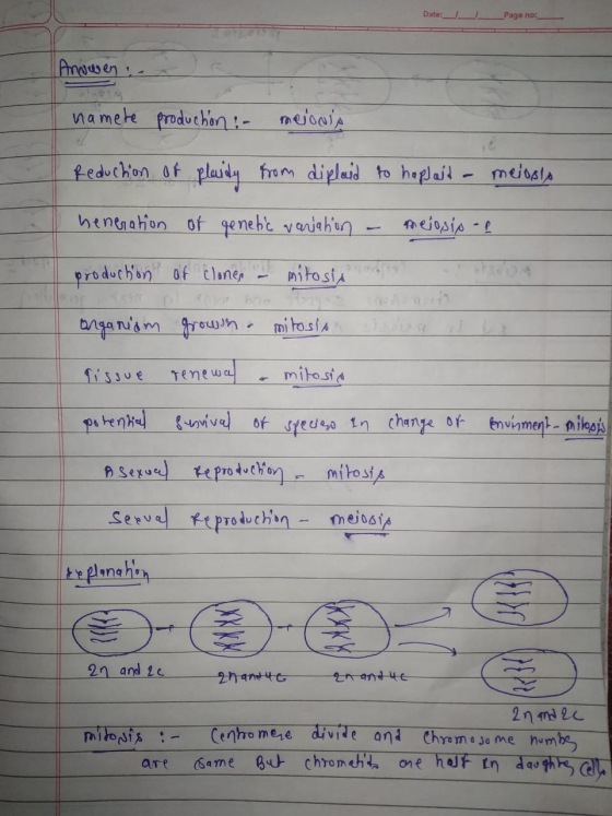 Data:_ _ Page no:_ Anower :- namete production : melonis Reduction of plaidy from diplaid to haplait a meiosis heneration of