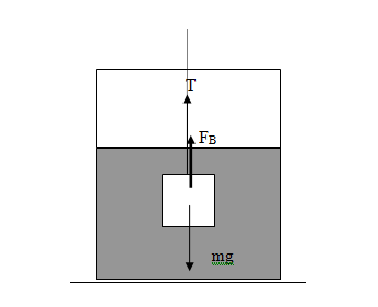 mg