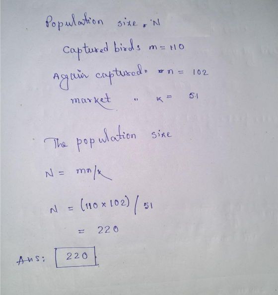 Population sine + N m= tlo on = 102 Captured birds Aguir captured market k = site The pop ulation popu N= mo mola N = (110 x