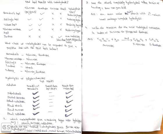 a spot test results with carbohydrates Glucose fructuße sucrose starch carbohydrate Briskered) . class 3. was the starch comp