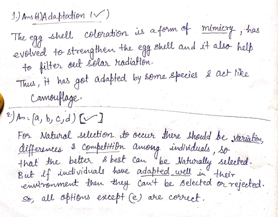 1.) Aus (d)Adaptation IV) The egg shell coloration is a form of mimicry , has evolved to strengthen, the egg shell and it als