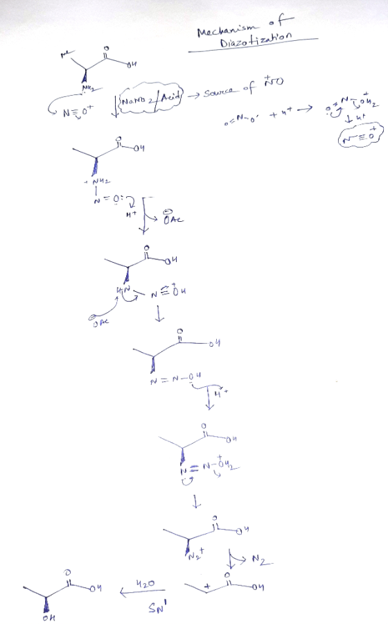 Mechanism of Diazotization ENEO Nawroz / Acid) sowrece of to os Nongo tuto Com (or = - NU N-02 una webu O AC O NN-04 02 NON-