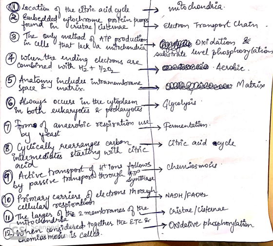 Location of the citric acid cycle to mitochondria 2 Embedded eytochrome found in protein pump Tristae) Cisternae Electron Tra