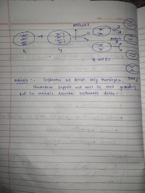 Date:_ _ Page merosiok n andre meiosin - Centromere not Chromosome seprete But in meiosis seconde divide only and wena in cen