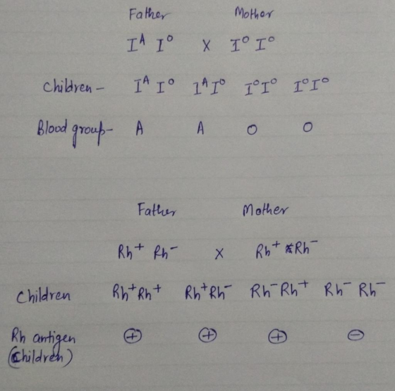 Father Mother Father Mother IA I & II JA TO 24 10 T 10 LO IO A A O o 1 children. Blood group - Father Mother children An anti