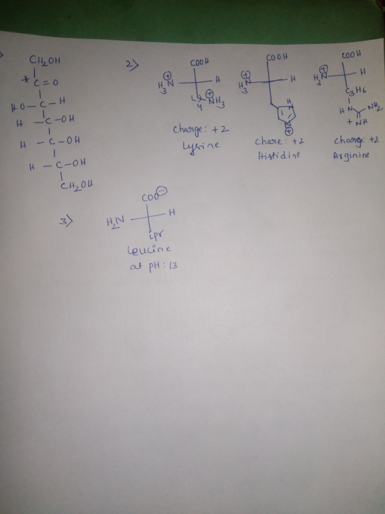 2 C00 μ Co 0H cooH 3 H chasge + 2 Chog + A13inine Chane: t2 hi省dine Co 0 H,N Leudine