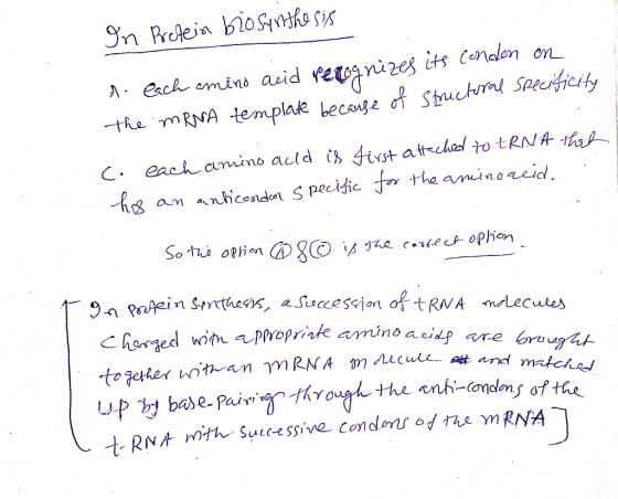 In Prcein 0Sesis A ech emins acid Petogni2es its Conalen the mRNA templak becauge o Stuctral Specificity each amino acid ih 4
