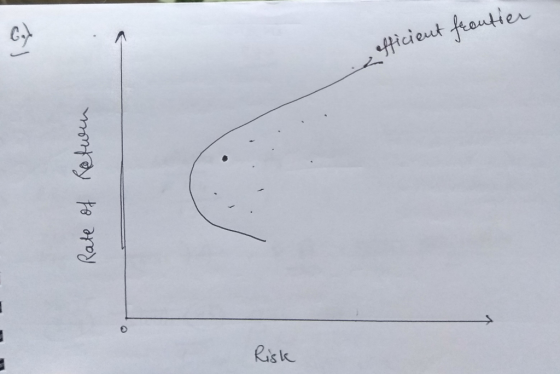C. Risk
