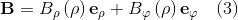 \mathbf{B} = B_{\rho}\left(\rho \right )\mathbf{e}_{\rho}+B_{\varphi}\left(\rho \right )\mathbf{e}_{\varphi} \quad (3)