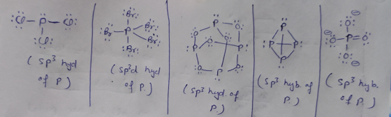 :Br: :0-p-o: 1. :0:0 P: Bx: :Br: (sp3 hyb. of P.J :0 (sp? hyb.of ( spid hyd of P.) ( sp3 hyl ofP) P.) (sp3 hyd.of P.) 0.