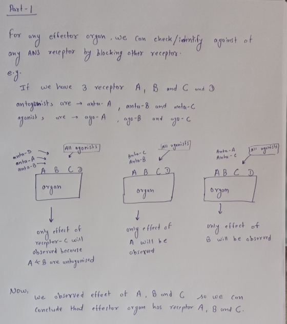 Part-1 и Ч effector organ , we can check/indentify agoinst of any ANS receptor by blocking other receptor. eyi It we have a