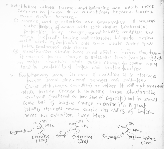 • Substitution between leucine and isoleucine are much Common m. protein than substitution between leucine and serine because