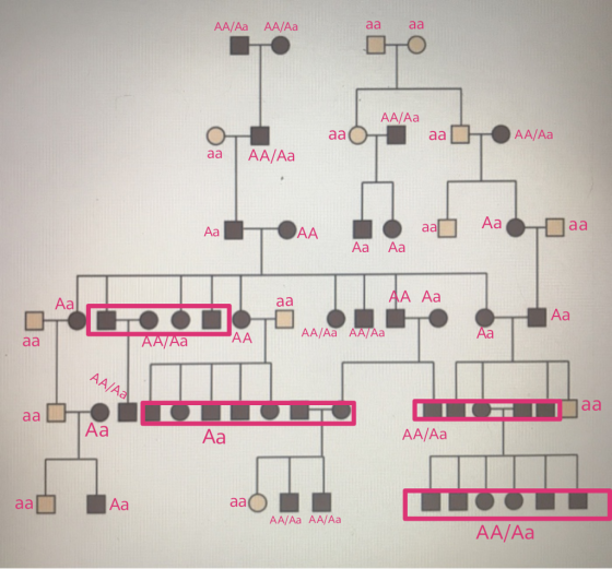 AA/Aa AA/Aa AA/ Aa AA/Aa aa AA/Aa Aa Aa Aa Aa AA Aa Aa Aa AA/ Aa AA Aa Aa Aa Aa AA/Aa Aa AA/ Aa AA/ Aa AA/Aa