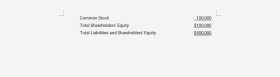Common Stock Total Shareholders Equity Total Liabilities and Shareholders Equity 100,000 $100,000 $450,000