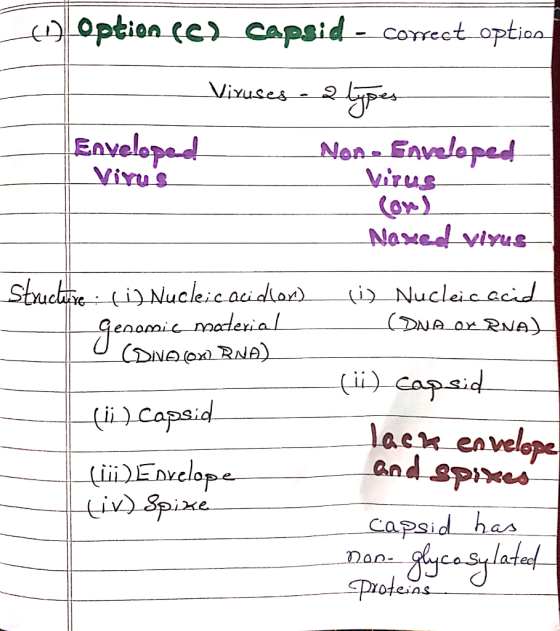 to option (C) capsid - Correct_option Viruses atypes Envelopel_ _Non. Enveloped Viyus virus Naxed v1yus Structive: () Nuclei
