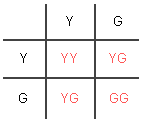 G YG GG