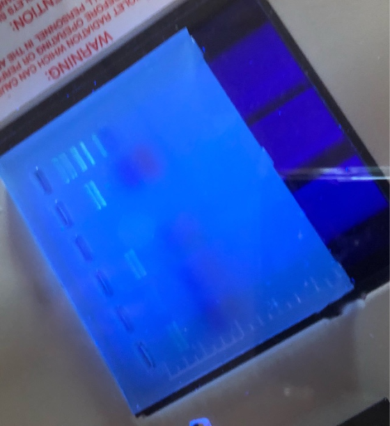 WARNING: LET RADIATION WHICH CAN CAUS PORE OPERATING OR PER PERSONNEL IN THE A NTION: LETOS