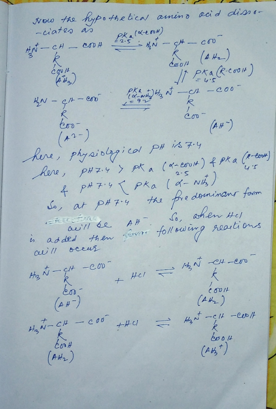 Pka (2200H) Now the hypothetical amino acid dissor -ciates as Ant – CH – COOH 2.5 h – t – coo koon (4 ) It Pra (R-cout) N- t-