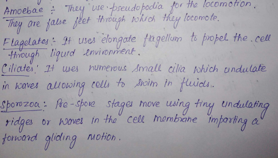 the locomotion ÷ Theudue.-seudopodia,for Amoebae brough ligud envioniene Ciltates. It wes humerous smali cilia which undulafe