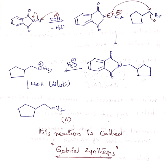 Br مل کر کے رد عمل | H₂O Nity NaOH Calilutio) و از او در و 5 روز رام (4) This reaction is called 4 Gabriel synthesis